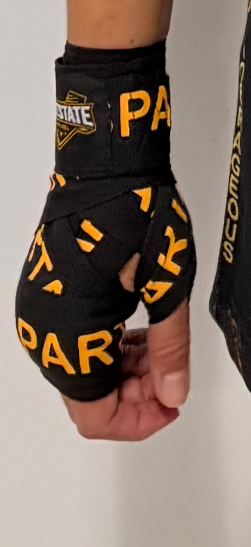 FightState Apparel Black and Gold Spartan Hand Wraps