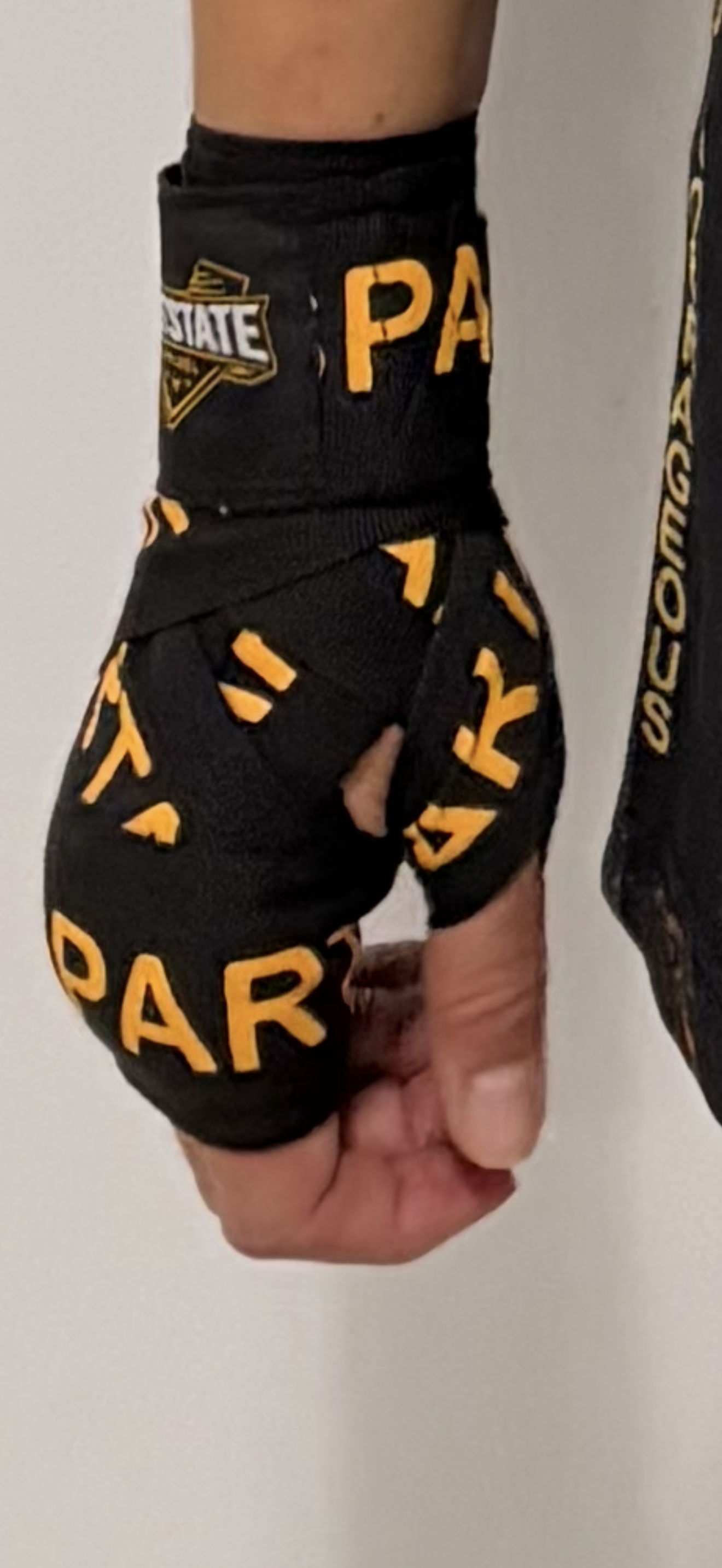 FightState Apparel Black and Gold Spartan Hand Wraps